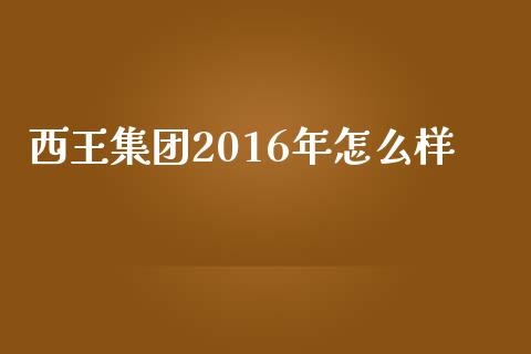西王集团2016年怎么样_https://cj001.lansai.wang_金融问答_第1张