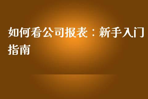 如何看公司报表：新手入门指南_https://cj001.lansai.wang_理财问答_第1张