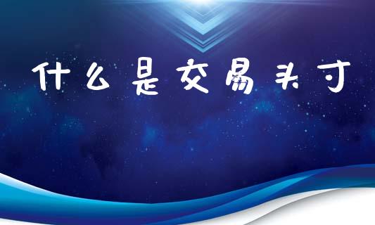 什么是交易头寸_https://cj001.lansai.wang_期货问答_第1张
