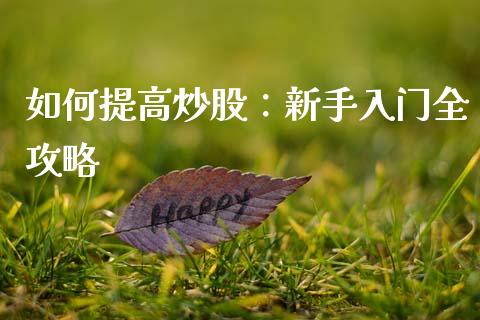 如何提高炒股：新手入门全攻略_https://cj001.lansai.wang_财经问答_第1张