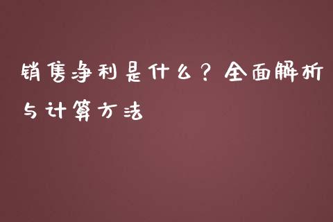 销售净利是什么？全面解析与计算方法_https://cj001.lansai.wang_股市问答_第1张
