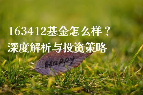 163412基金怎么样？深度解析与投资策略_https://cj001.lansai.wang_理财问答_第1张