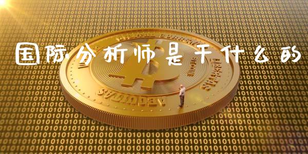 国际分析师是干什么的_https://cj001.lansai.wang_会计问答_第1张