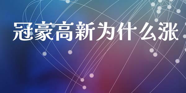 冠豪高新为什么涨_https://cj001.lansai.wang_会计问答_第1张