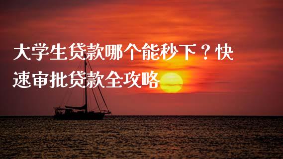 大学生贷款哪个能秒下？快速审批贷款全攻略_https://cj001.lansai.wang_会计问答_第1张