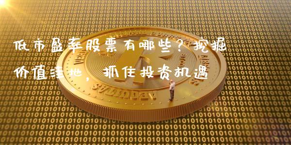低市盈率股票有哪些?挖掘价值洼地,抓住投资机遇_股市问答_第1张_财经百问网 低市盈率股票有哪些?挖掘价值洼地,抓住投资机遇_https://cj001.lansai.wang_股市问答_第1张