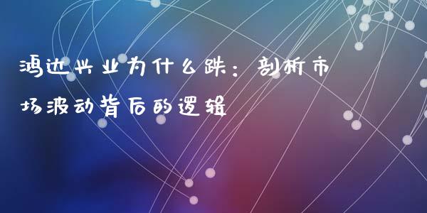 鸿达兴业为什么跌：剖析市场波动背后的逻辑_https://cj001.lansai.wang_保险问答_第1张