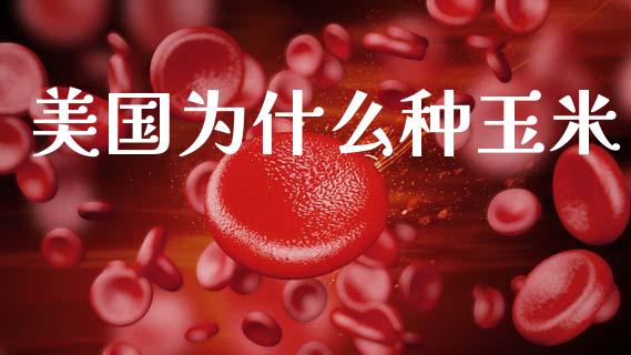 美国为什么种玉米_https://cj001.lansai.wang_金融问答_第1张