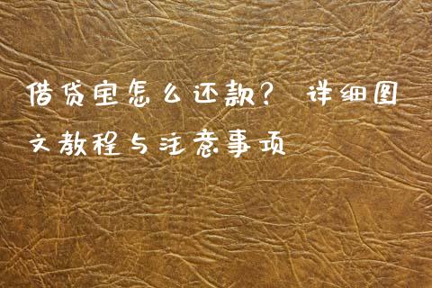 借贷宝怎么还款？ 详细图文教程与注意事项_https://cj001.lansai.wang_财经问答_第1张
