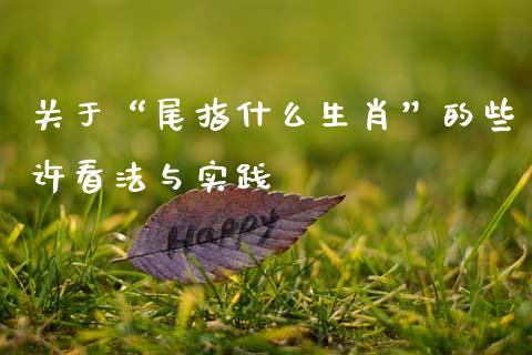 关于“尾指什么生肖”的些许看法与实践_https://cj001.lansai.wang_金融问答_第1张
