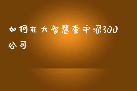 如何在大智慧查沪深300公司_https://cj001.lansai.wang_财经百问_第1张