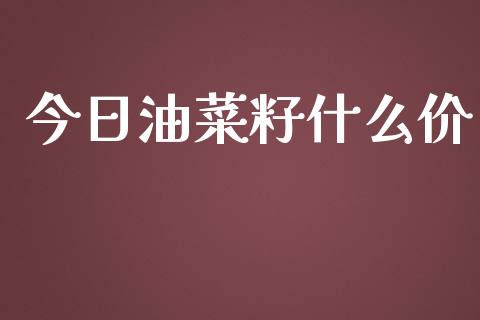 今日油菜籽什么价_https://cj001.lansai.wang_股市问答_第1张