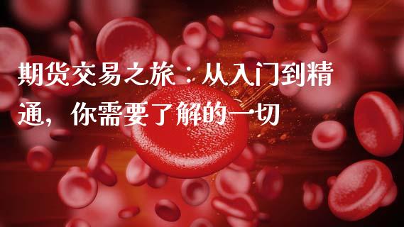 期货交易之旅：从入门到精通，你需要了解的一切_https://cj001.lansai.wang_财经问答_第1张