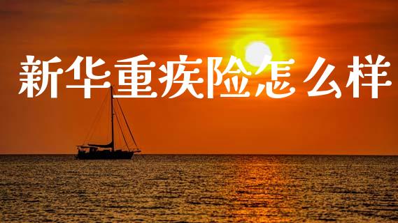 新华重疾险怎么样_https://cj001.lansai.wang_保险问答_第1张
