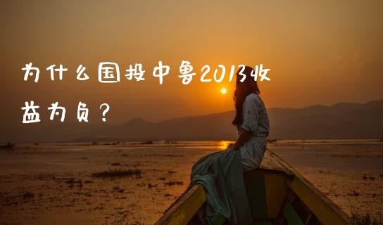 为什么国投中鲁2013收益为负？_https://cj001.lansai.wang_会计问答_第1张