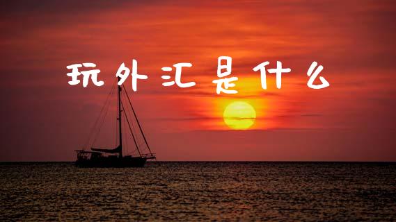 玩外汇是什么_https://cj001.lansai.wang_财经问答_第1张