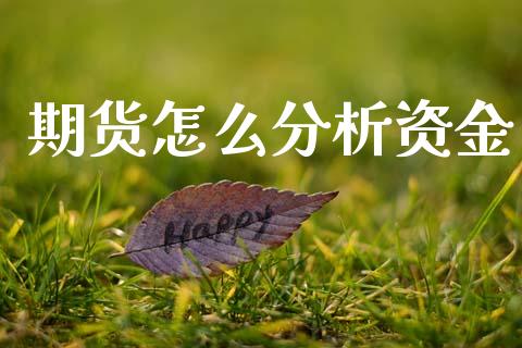 期货怎么分析资金_https://cj001.lansai.wang_财经问答_第1张