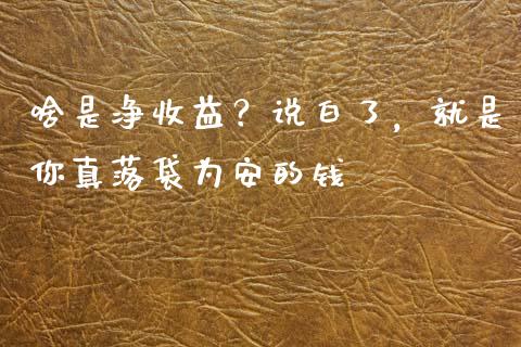 啥是净收益？说白了，就是你真落袋为安的钱_https://cj001.lansai.wang_会计问答_第1张