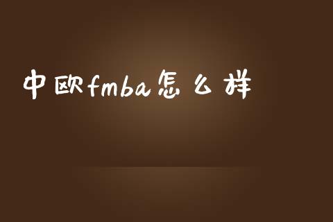 中欧fmba怎么样_https://cj001.lansai.wang_财经百问_第1张