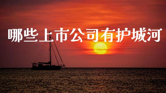 哪些上市公司有护城河_金融问答_第1张_财经百问网 哪些上市公司有护城河_https://cj001.lansai.wang_金融问答_第1张