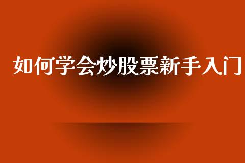 如何学会炒股票新手入门_https://cj001.lansai.wang_会计问答_第1张