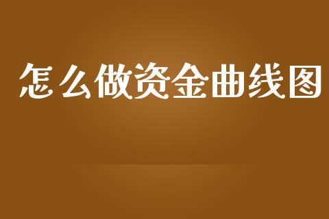 怎么做资金曲线图_https://cj001.lansai.wang_会计问答_第1张