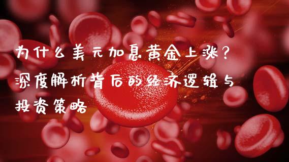 为什么美元加息黄金上涨？深度解析背后的经济逻辑与投资策略_https://cj001.lansai.wang_财经问答_第1张