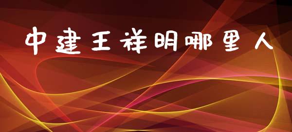 中建王祥明哪里人_https://cj001.lansai.wang_财经问答_第1张