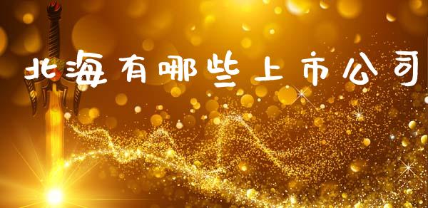 北海有哪些上市公司_https://cj001.lansai.wang_理财问答_第1张