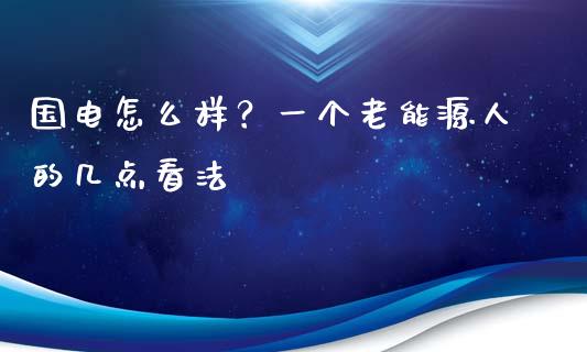 国电怎么样？一个老能源人的几点看法_https://cj001.lansai.wang_财经问答_第1张