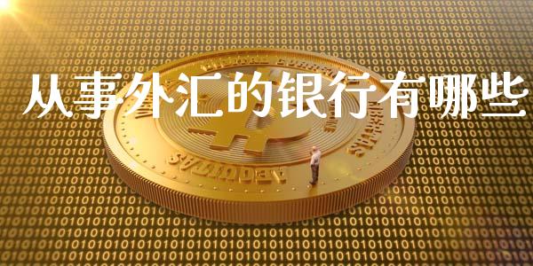 从事外汇的银行有哪些_https://cj001.lansai.wang_财经问答_第1张