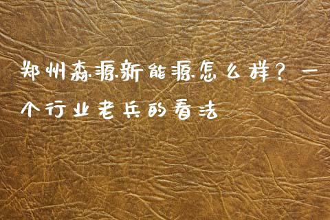 郑州森源新能源怎么样？一个行业老兵的看法_https://cj001.lansai.wang_财经问答_第1张