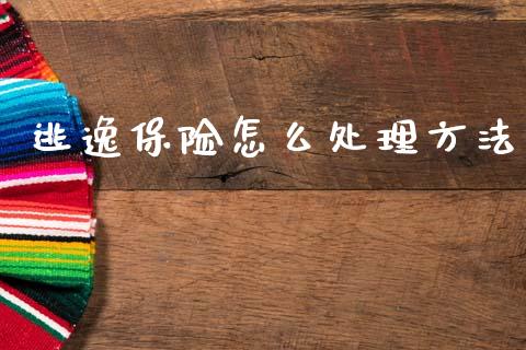 逃逸保险怎么处理方法_https://cj001.lansai.wang_保险问答_第1张