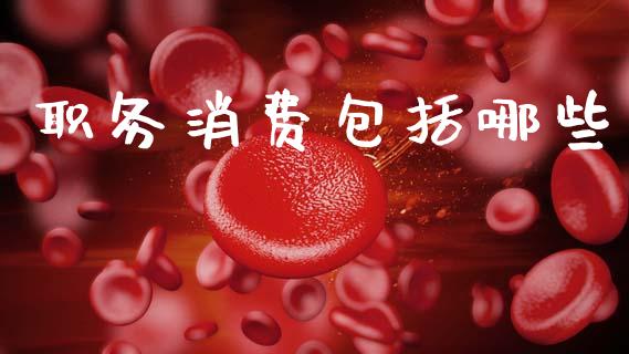 职务消费包括哪些_https://cj001.lansai.wang_金融问答_第1张