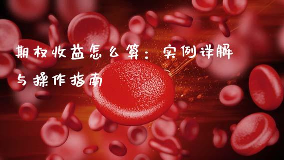 期权收益怎么算：实例详解与操作指南_https://cj001.lansai.wang_股市问答_第1张