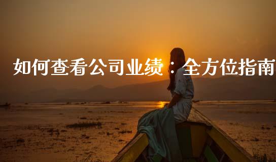 如何查看公司业绩：全方位指南_https://cj001.lansai.wang_股市问答_第1张