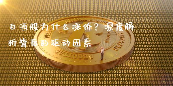 白酒股为什么涨价？深度解析背后的驱动因素_https://cj001.lansai.wang_期货问答_第1张