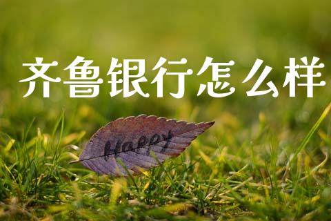 齐鲁银行怎么样_https://cj001.lansai.wang_保险问答_第1张