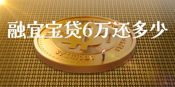 融宜宝贷6万还多少_https://cj001.lansai.wang_财经百问_第1张