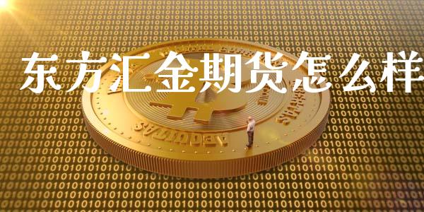 东方汇金期货怎么样_https://cj001.lansai.wang_理财问答_第1张