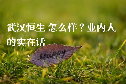 武汉恒生 怎么样？业内人的实在话_https://cj001.lansai.wang_期货问答_第1张