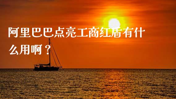 阿里巴巴点亮工商红盾有什么用啊？_https://cj001.lansai.wang_会计问答_第1张
