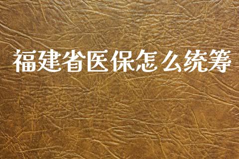 福建省医保怎么统筹_https://cj001.lansai.wang_保险问答_第1张