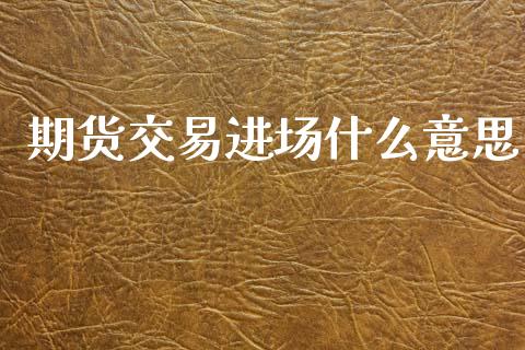 期货交易进场什么意思_https://cj001.lansai.wang_会计问答_第1张