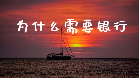 为什么需要银行_https://cj001.lansai.wang_会计问答_第1张