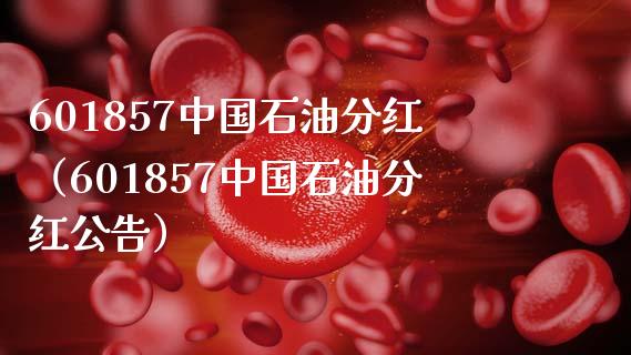601857中国石油分红（601857中国石油分红公告）_https://cj001.lansai.wang_股市问答_第1张