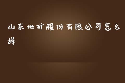 山东地矿股份有限公司怎么样_https://cj001.lansai.wang_理财问答_第1张