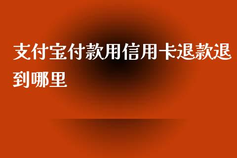 支付宝付款用信用卡退款退到哪里_https://cj001.lansai.wang_理财问答_第1张