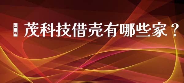 鑫茂科技借壳有哪些家？_https://cj001.lansai.wang_会计问答_第1张