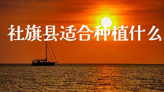 社旗县适合种植什么_财经百问_第1张_财经百问网 社旗县适合种植什么_https://cj001.lansai.wang_财经百问_第1张